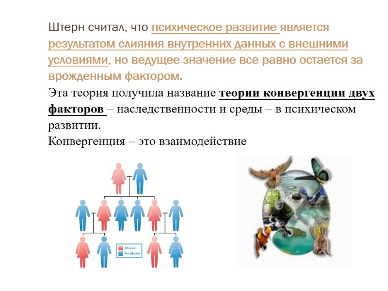 Штерн считал, что психическое развитие является результатом слияния внутренних данных с внешними условиями, но